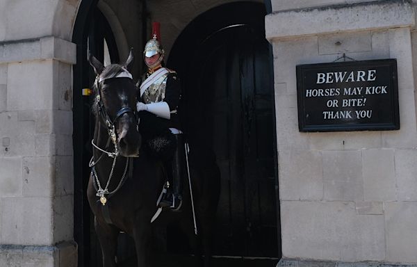 King Charles’ guard horse bites tourist posing for photo: ‘Thought she was going to pass out’