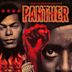 Panther (film)