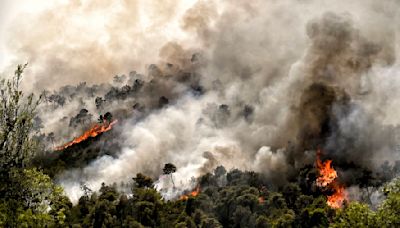 Europe roasts in ferocious 44C heatwave as Greece battles wildfires