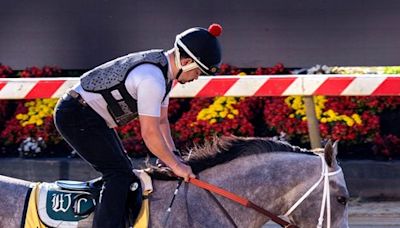 Seize the Grey Owners Revel in Preakness Experience