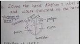 This Student's Heart Diagram Is The Funniest Thing On Internet Today