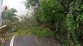 受豪雨影響邊坡坍方 南橫梅山段雙向封閉中