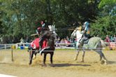 Ohio Renaissance Festival