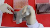 US relaxes regulations for labs handling bird flu samples to ease virus response