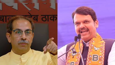 He's Said He Doesn't Understand: D Fadnavis' Budget Dig At Uddhav Thackeray