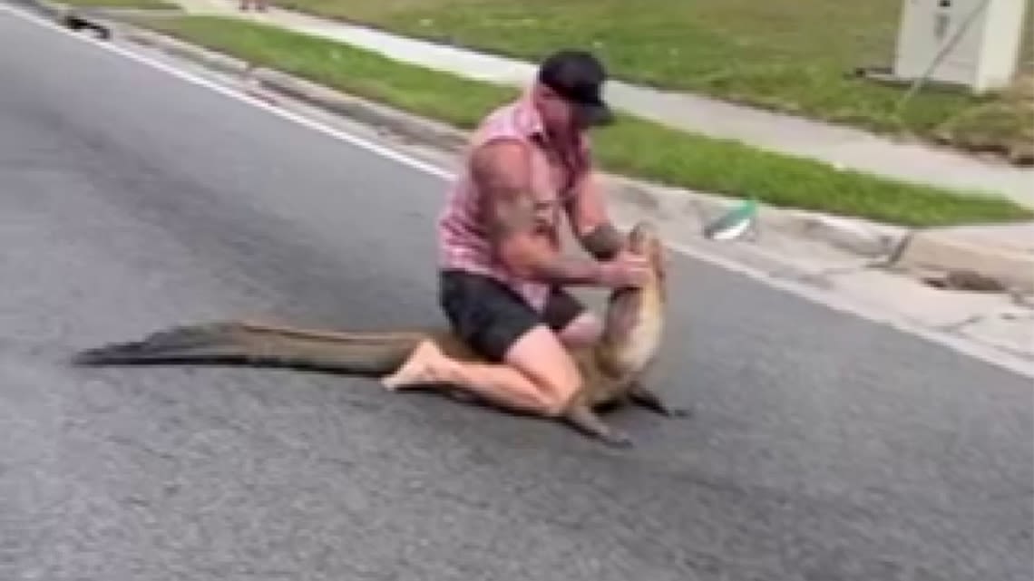 Watch: Florida man wrangles alligator in the middle of street