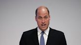William 'doesn't want to waste emotional energy' on 'estranged' Harry