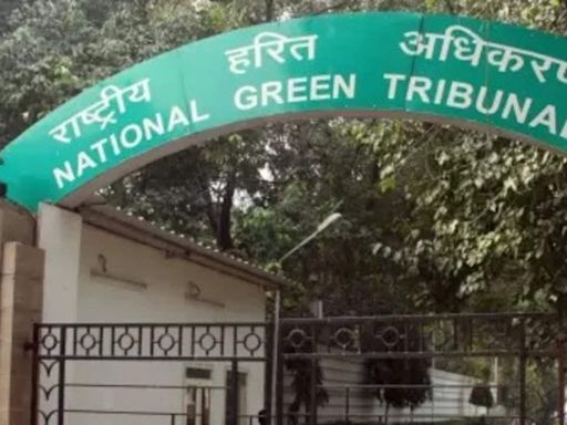 NGT issues notice on indiscriminate concretisation of roadsides & constructions in parks - ET LegalWorld