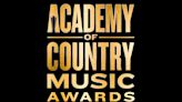 Academy of Country Music Awards nominations: Hardy and Lainey Wilson lead list