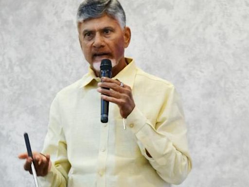 People voted for development and not for vindictive politics, says Andhra Pradesh Chief Minister