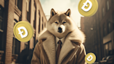 DogeChain wallet announces shutdown, get your Dogecoin out before June 1 | Invezz