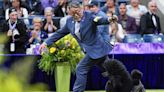 Miniature poodle named Sage wins Westminster Kennel Club dog show | Chattanooga Times Free Press