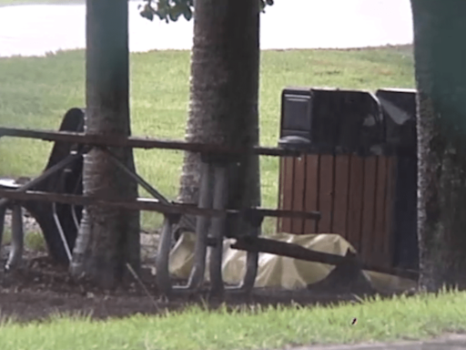 Hombre muere tras ser alcanzado por un rayo en un parque de Davie, según la policía