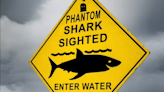 Searching for a Phantom Shark at a Popular Australian Surf Spot