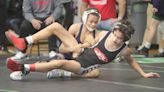 A weight-by-weight look at the OHSAA Division II state wrestling tournament