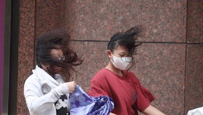 日網紅看颱風假「台灣政府真可憐！」曝台日最大差別 - 生活