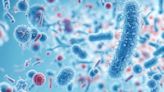 Boosting Bacterial Genomes to Better Explore the Microbiome