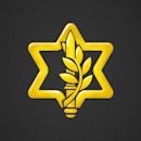 Israel Defense Forces