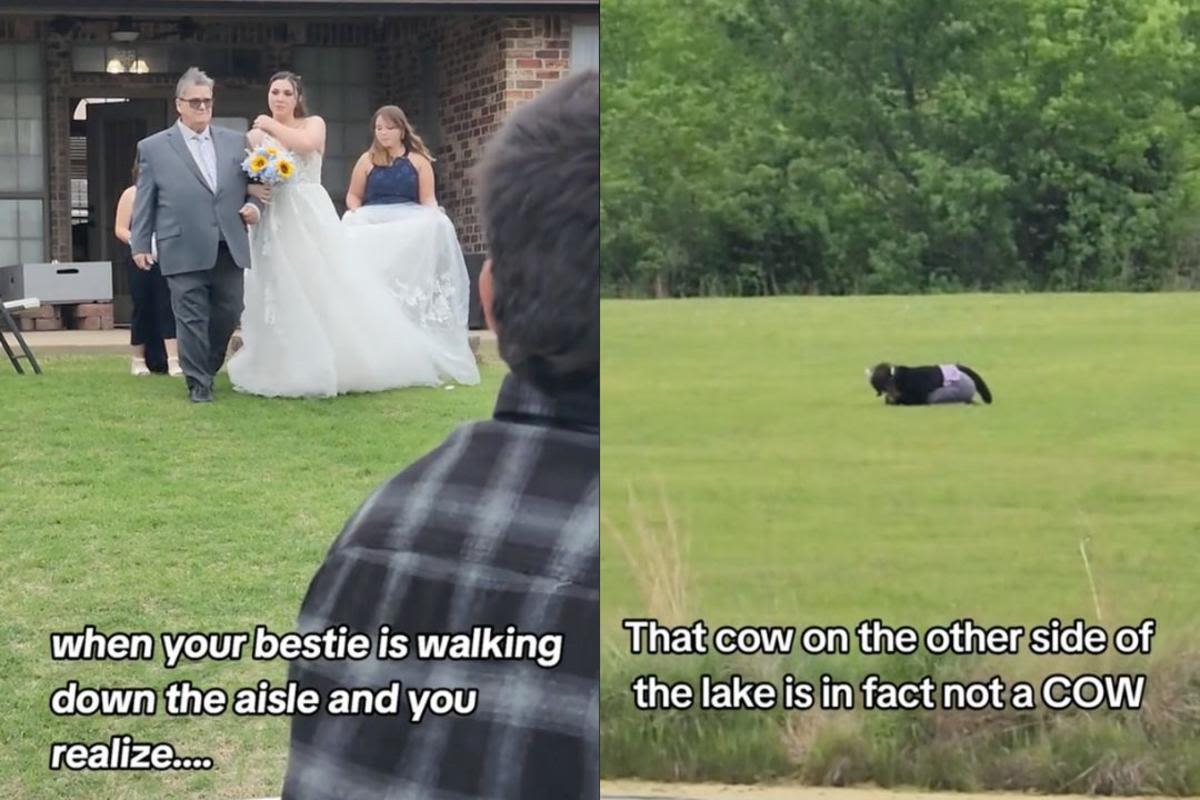 Bride's Best Friend Realizes Cow Near Wedding Venue Is Actually a Furry