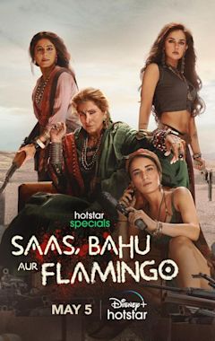 Saas, Bahu Aur Flamingo