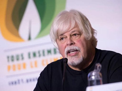 Paul Watson News: Who is anti-whaling activist Paul Watson? Why was he arrested? | World News - Times of India