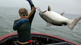 Salmon fishing is banned off the California coast for the second year in a row amid low stocks