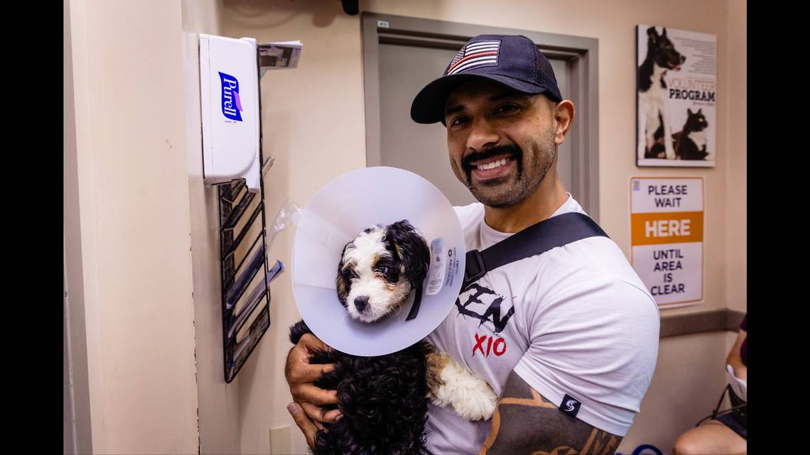 Puppies left in hot car for 90 minutes in Florida adopted by rescuers who saved them