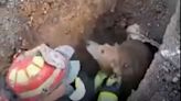 First responders rescue Arkansas pup lodged inside drainage culvert