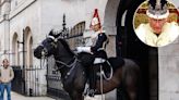 King Charles III’s Guard Horse Bites Tourist Posing for Photo at Household Cavalry Museum in London