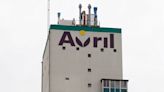 French group Avril in talks to buy Axereal animal feed business