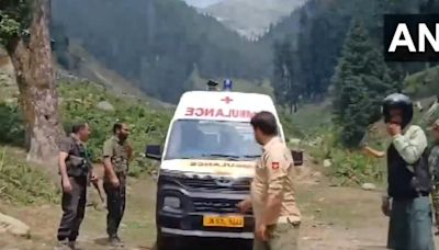 Five children among 8 killed after car falls into gorge in Anantnag