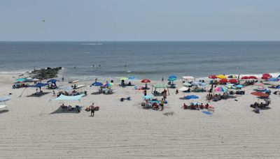 Basking sharks spotted off the coast of Cape May and Wildwood, New Jersey