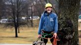 Meet the 'cat whisperer': Mass. man's job is rescuing frightened felines