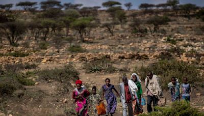 ¿Qué ocurre en Etiopía?: Tensiones y conflictos regionales sacuden al país del Cuerno de África - La Tercera