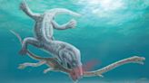 Enormous 240 million-year-old sea monster had its head torn off in one clean bite