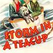 Storm in a Teacup (film)