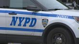 Man struck and killed by NYPD patrol vehicle on Van Wyck Expressway in Queens: Police