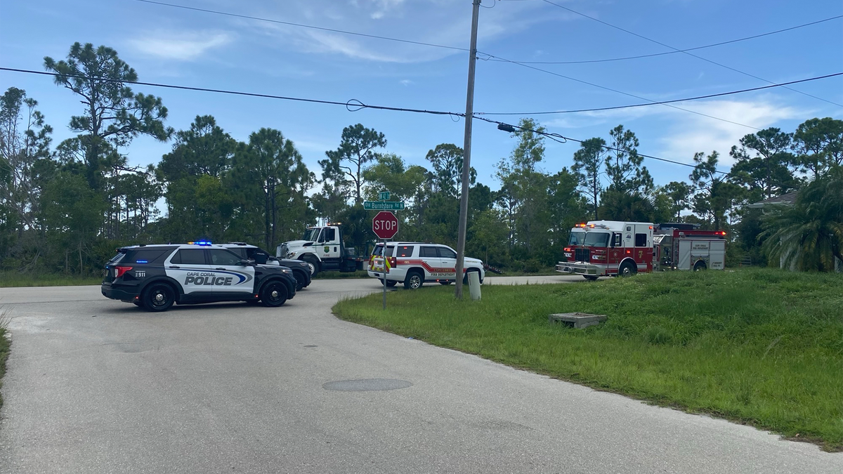 Lightning strike sparks 4-acre brush fire at Cape Coral's Charlotte Harbor Buffer Preserve