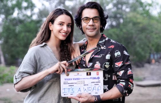 What is Rajkummar Rao, Triptii Dimri’s Upcoming Movie Vicky Vidya Ka Woh Wala’s Release Date?