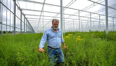 'It's a big deal': This massive, mall-sized greenhouse just got the green light to go forward.