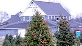 Treat yourself to a tree: Area Christmas farms ready for visitors