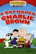 Arriva Charlie Brown