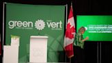 Green Party posted sensitive information about voters and members online