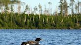 Off the grid no more: Satellite phone coverage may soon come to Boundary Waters Canoe Area Wilderness