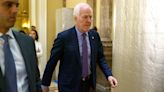 Cornyn faces boos at Texas GOP convention