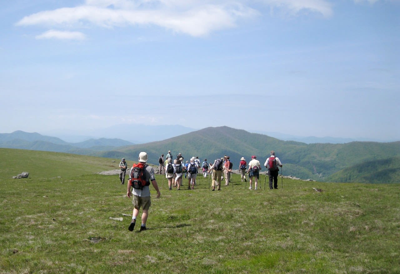 Conservancy guiding six Roan Highlands hikes June 15