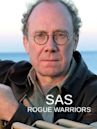 SAS: Rogue Warriors