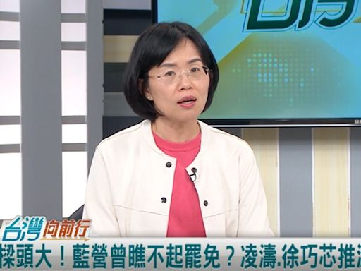 戰將藍委出招？宣講偷渡罷瑤？蘇巧慧：這些人心中只有自己！