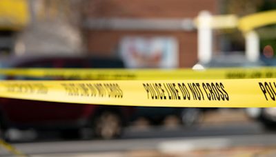 Lo sorprendió: policía dispara a un sospechoso de robo de auto cerca de la estación Rossylin en Arlington