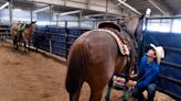 Rodeo a sport of mind as well as skill